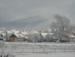 foto foto