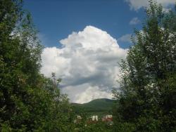 foto foto