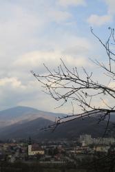 foto foto